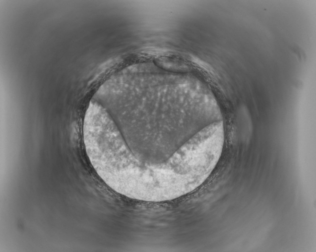 X0000110711397200907241136