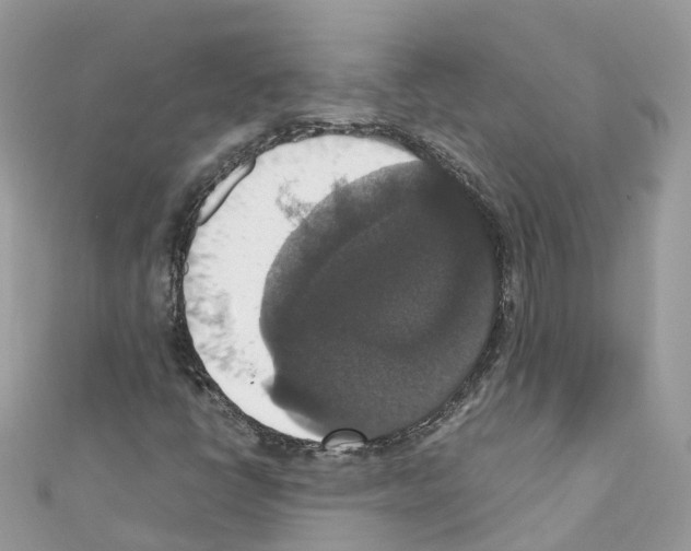 X0000110711398200907241136