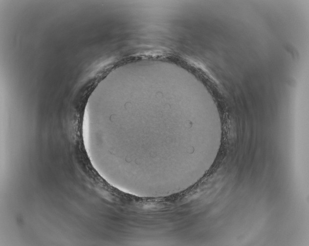 X0000110711399200907241136