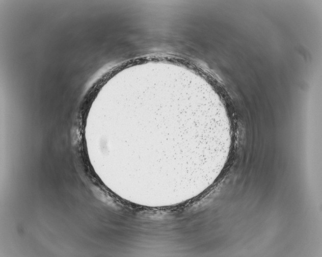 X0000110711400200907241136