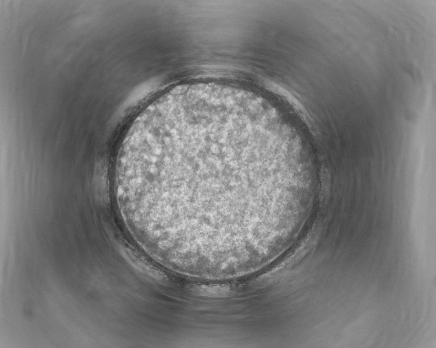 X0000110711403200907241136