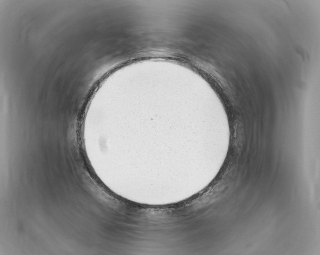 X0000110711404200907241136