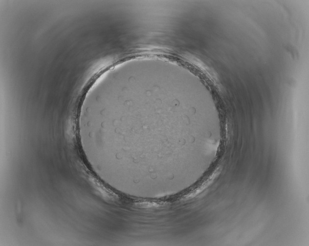 X0000110711405200907241136