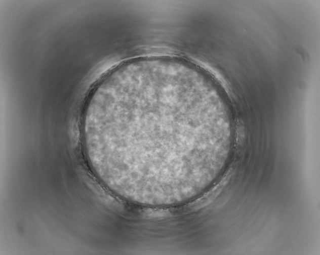 X0000110711407200907241136