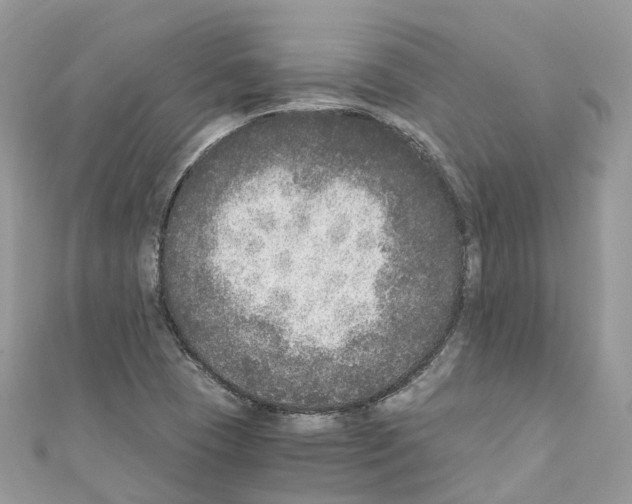 X0000110711409200907241136
