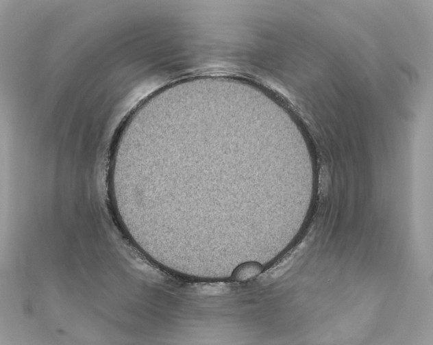 X0000110711410200907241136