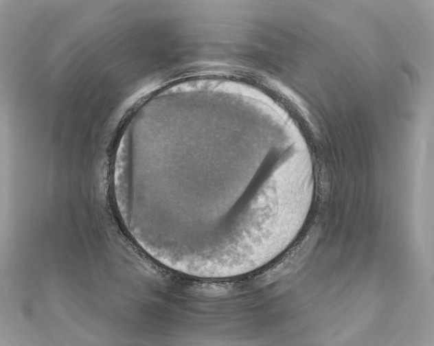 X0000110711411200907241136