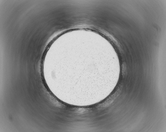 X0000110711412200907241136