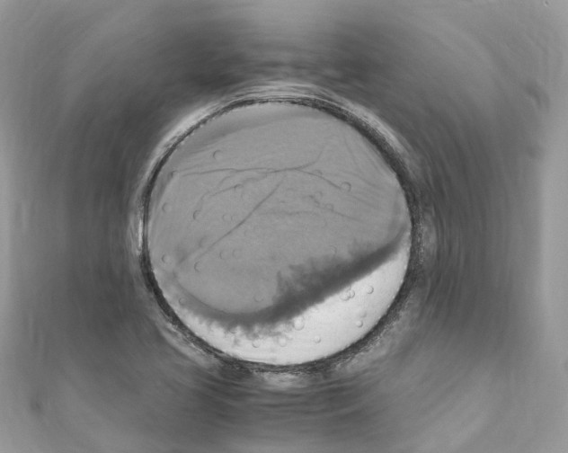 X0000110711413200907241136