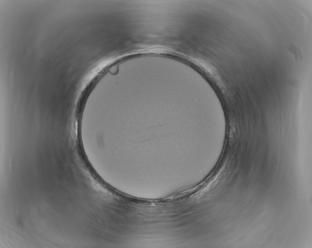 X0000110711414200907241136