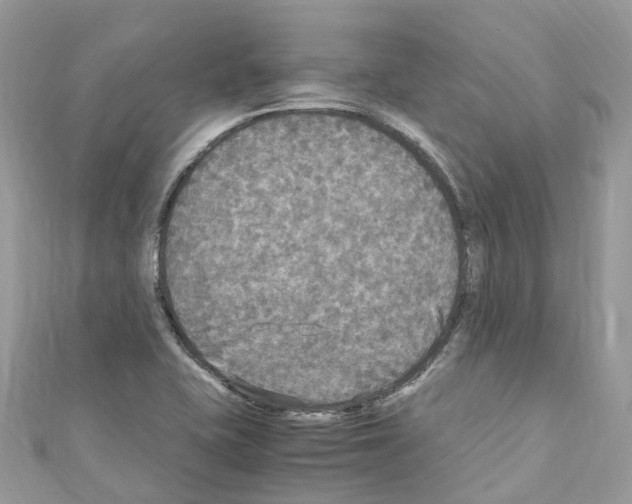 X0000110711415200907241136