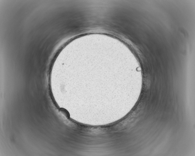 X0000110711416200907241136