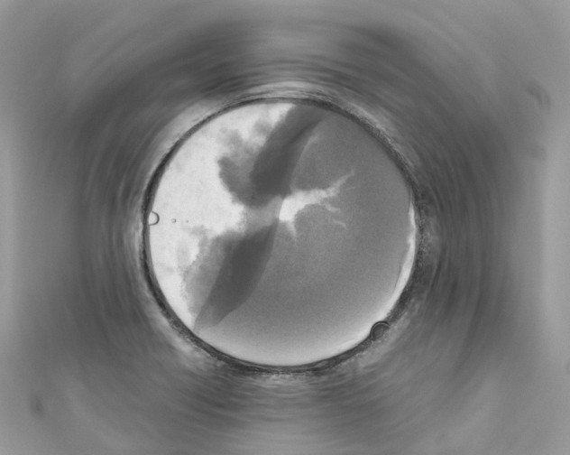 X0000110711418200907241136