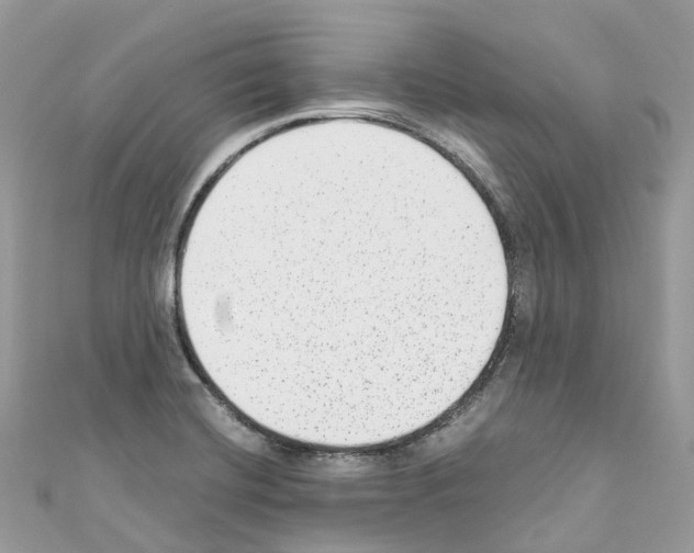 X0000110711420200907241136