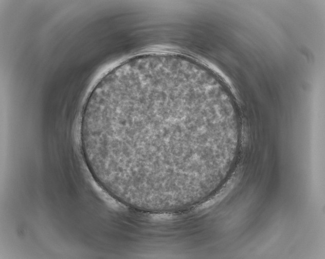 X0000110711421200907241136