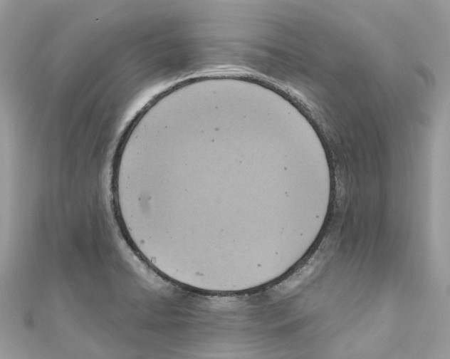 X0000110711422200907241136