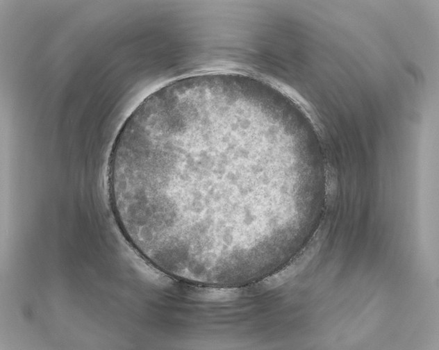 X0000110711423200907241136