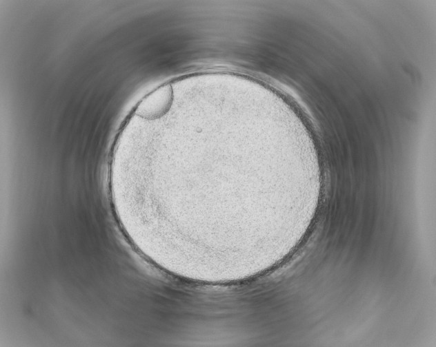 X0000110711424200907241136