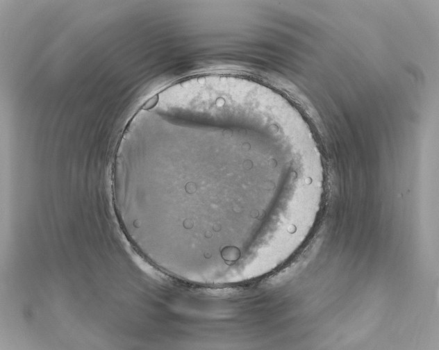 X0000110711425200907241136