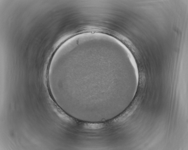 X0000110711427200907241136