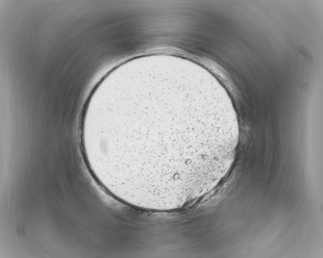 X0000110711430200907241136