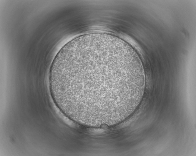 X0000110711431200907241136