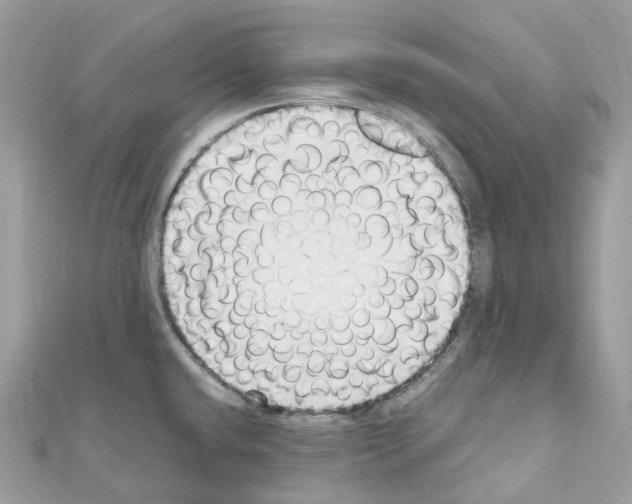 X0000110711432200907241136