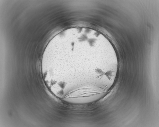 X0000110711433200907241136