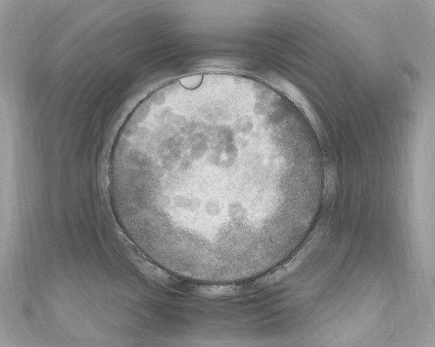 X0000110711435200907241136
