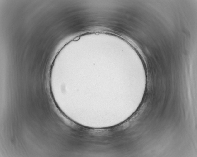 X0000110711437200907241136