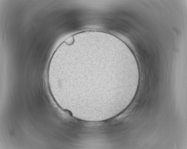 X0000110711440200907241136