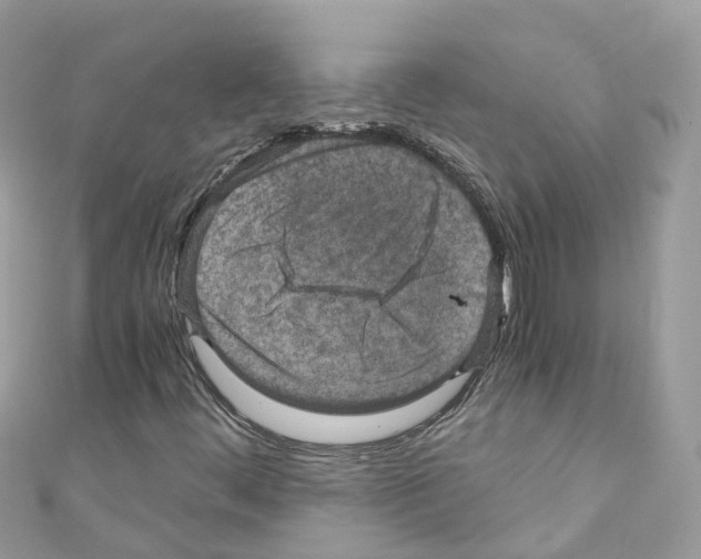 X0000110711444200907241136
