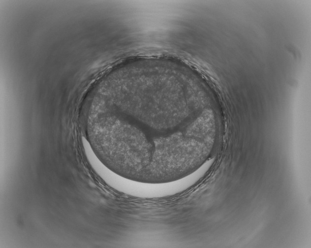 X0000110711445200907241136