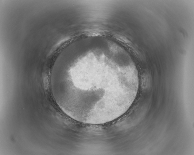 X0000110711446200907241136