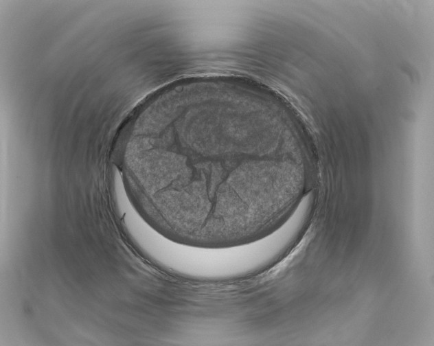 X0000110711449200907241136