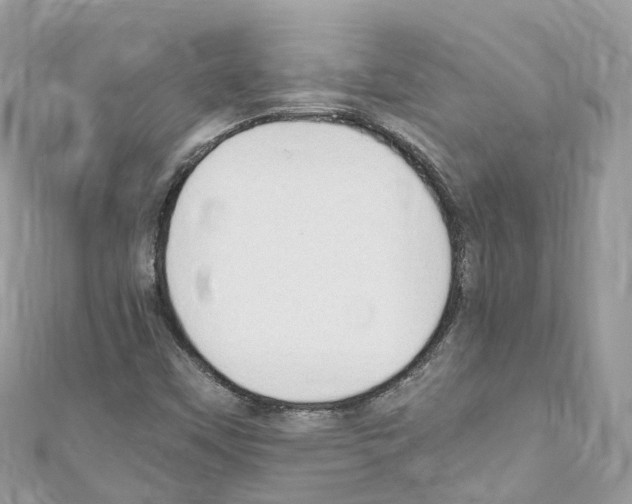 X0000110711451200907241136