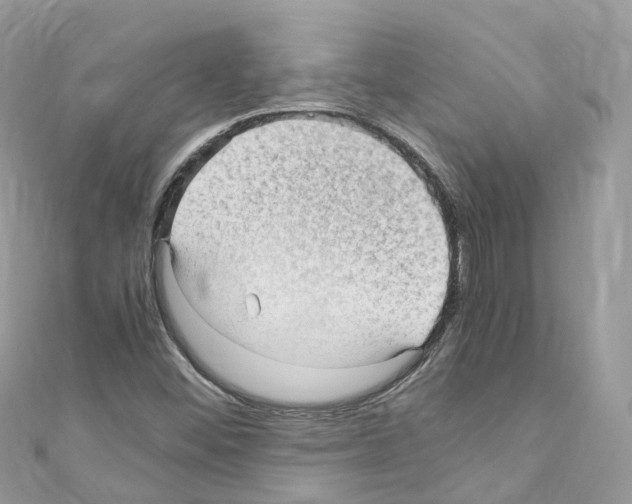 X0000110711452200907241136