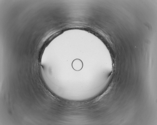 X0000110711453200907241136