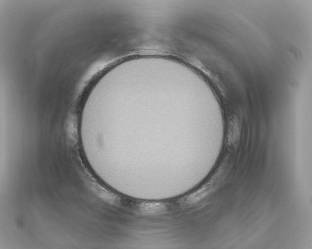 X0000110711454200907241136