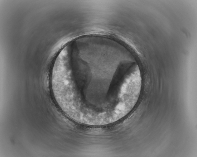X0000110711455200907241135