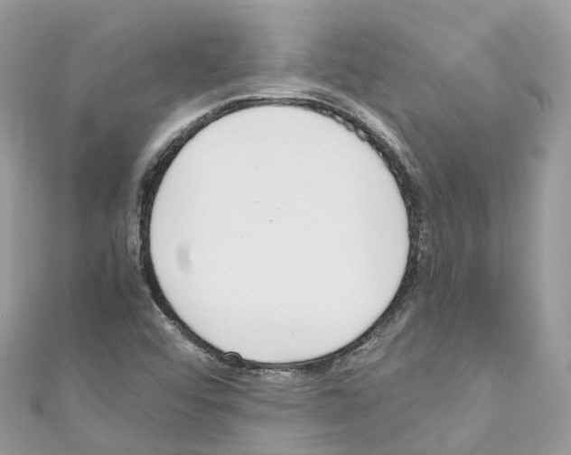 X0000110711456200907241135
