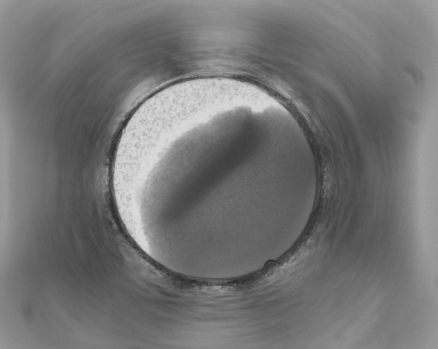 X0000110711459200907241135