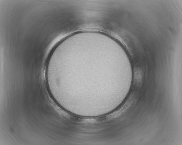 X0000110711462200907241135