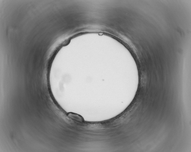 X0000110711464200907241135
