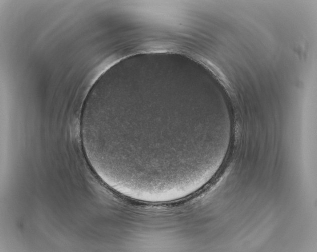 X0000110711465200907241135