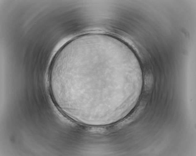 X0000110711466200907241135
