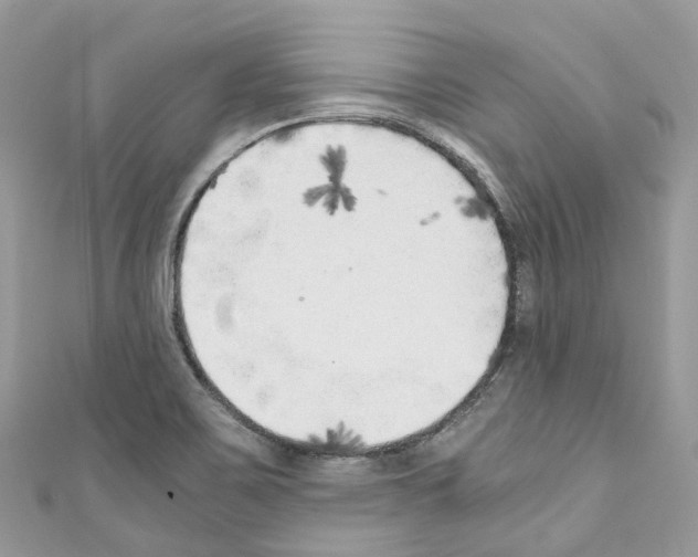 X0000110711467200907241135