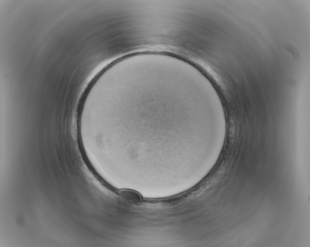 X0000110711468200907241135