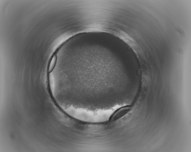 X0000110711469200907241135