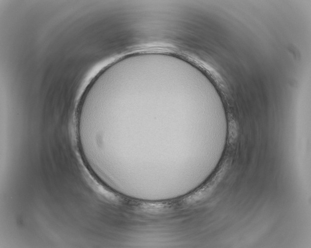 X0000110711470200907241135